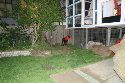 Black dog in red costume photographed with flash, in a garden, at night