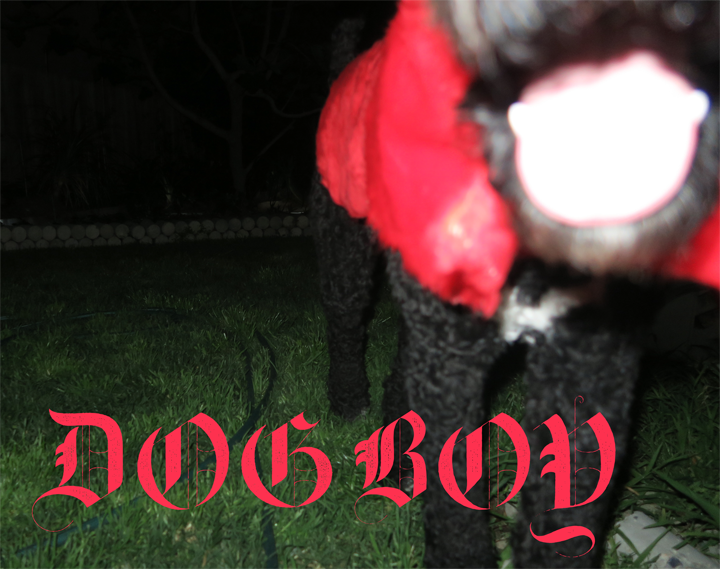 Close up of dog's mouth with the text 'Dog Boy' in a black letter typeface below.
    The photo is taken at night with flash and the dog is in a red costume.